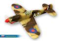 p40.jpg