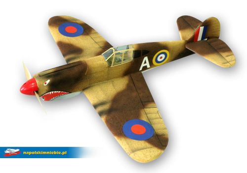 p40.jpg