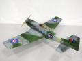 p51_7.jpg