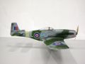 p51_2.jpg