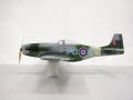 p51_3.jpg