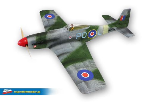 p51_d.jpg