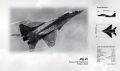 mig29_dt.jpg