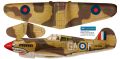 P40_m.jpg